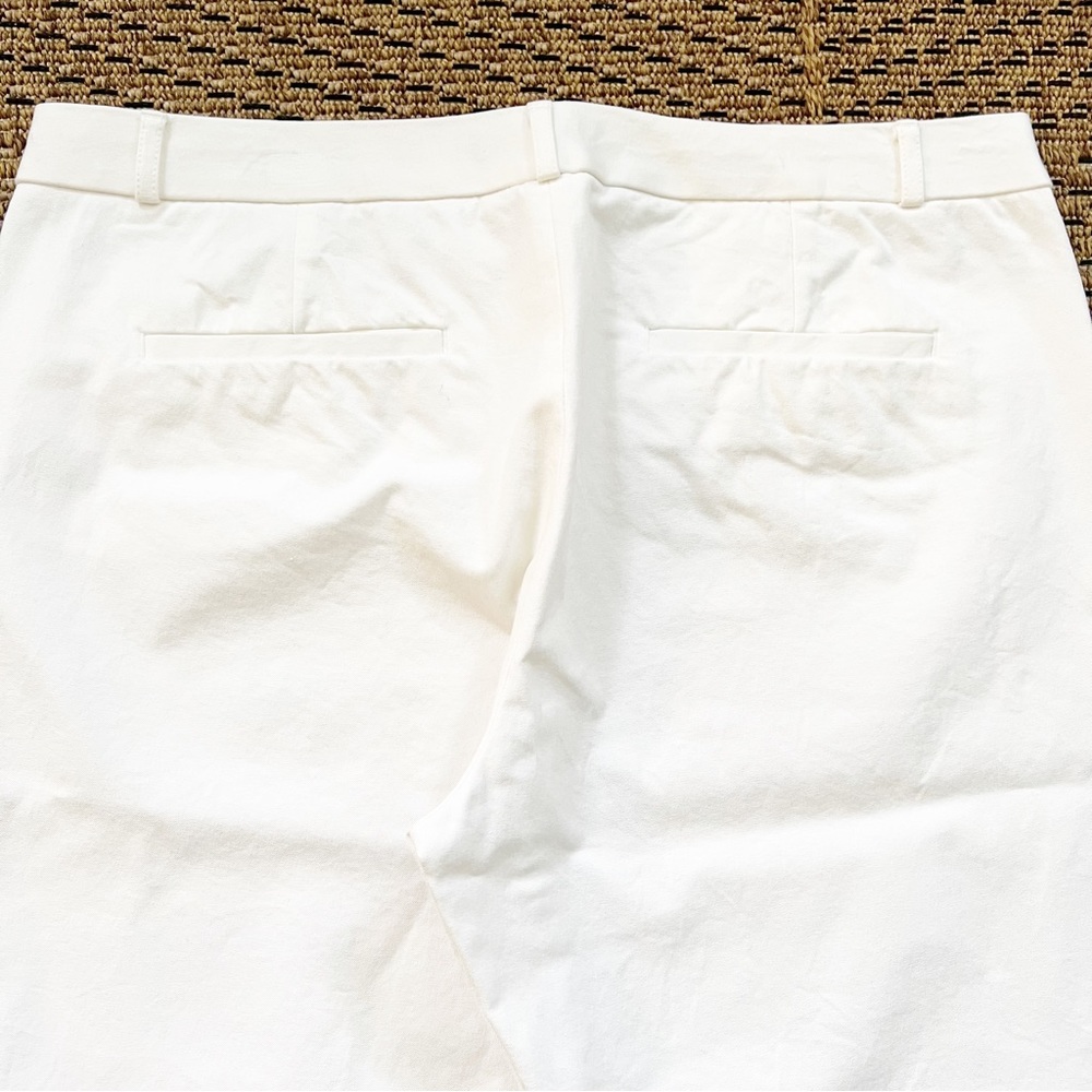 Banana Republic Factory Sloan Crop Pants-Size 14 - Picture 4 of 5